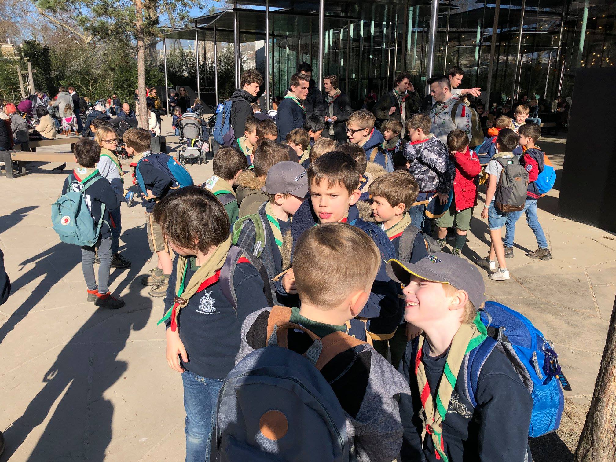 Sint-Martinus den XIIde - Zoo Antwerpen Kapoenen